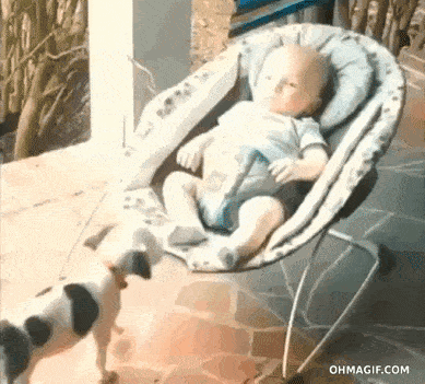 Puppy springt in wipstoeltje van baby