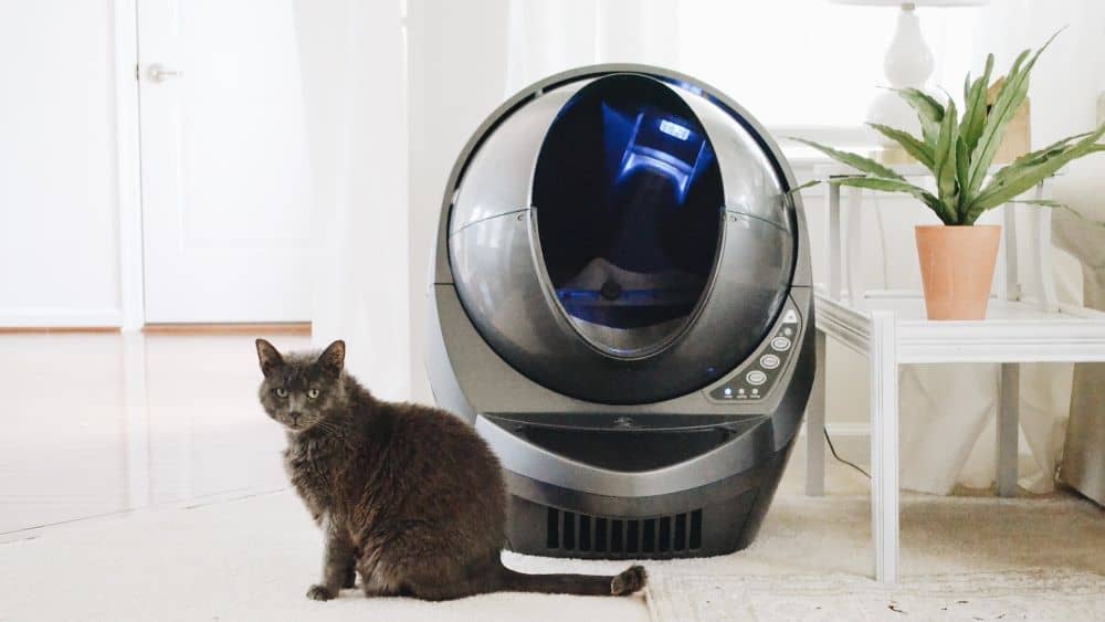Grijze kat zit voor grijze automatische kattenbak op witte vloer