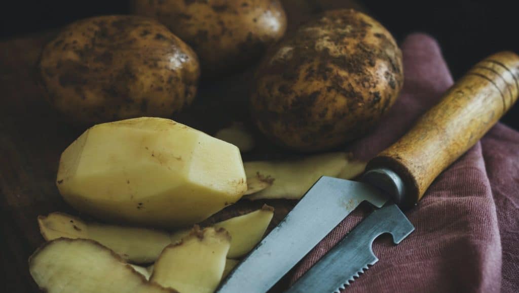 beste frietsnijder voor frietjes van aardappel