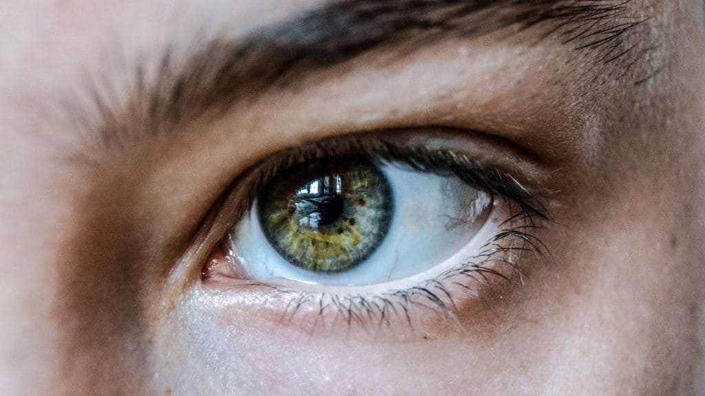 oog, wimpers, wenkbrauw