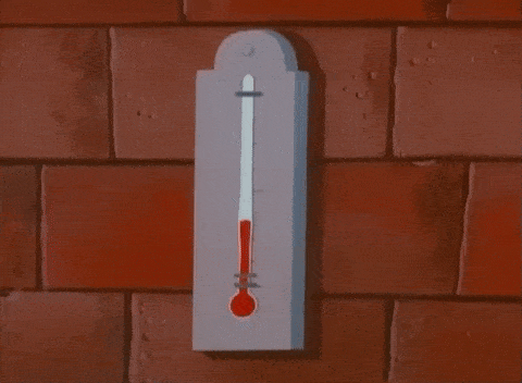 geanimeerde thermometer