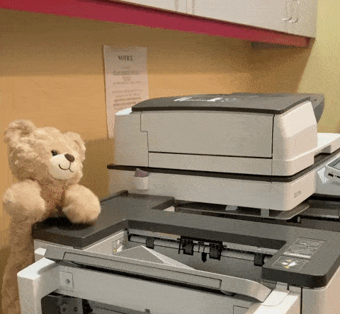 knuffelbeer bedient een kantoorprinter
