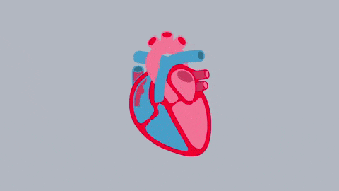 GIF van een cartoon hart dat pompt