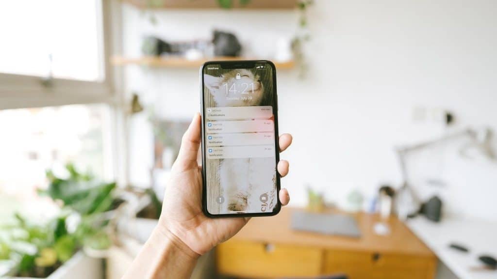 persoon houdt mobiele telefoon vast. Achtergrond is een studiekamer met bureau en planten