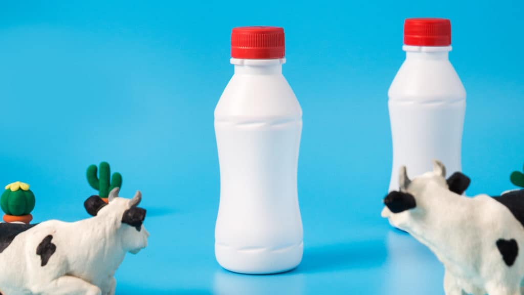 twee flessen melk op blauwe achtergrond met koeien en cactussen
