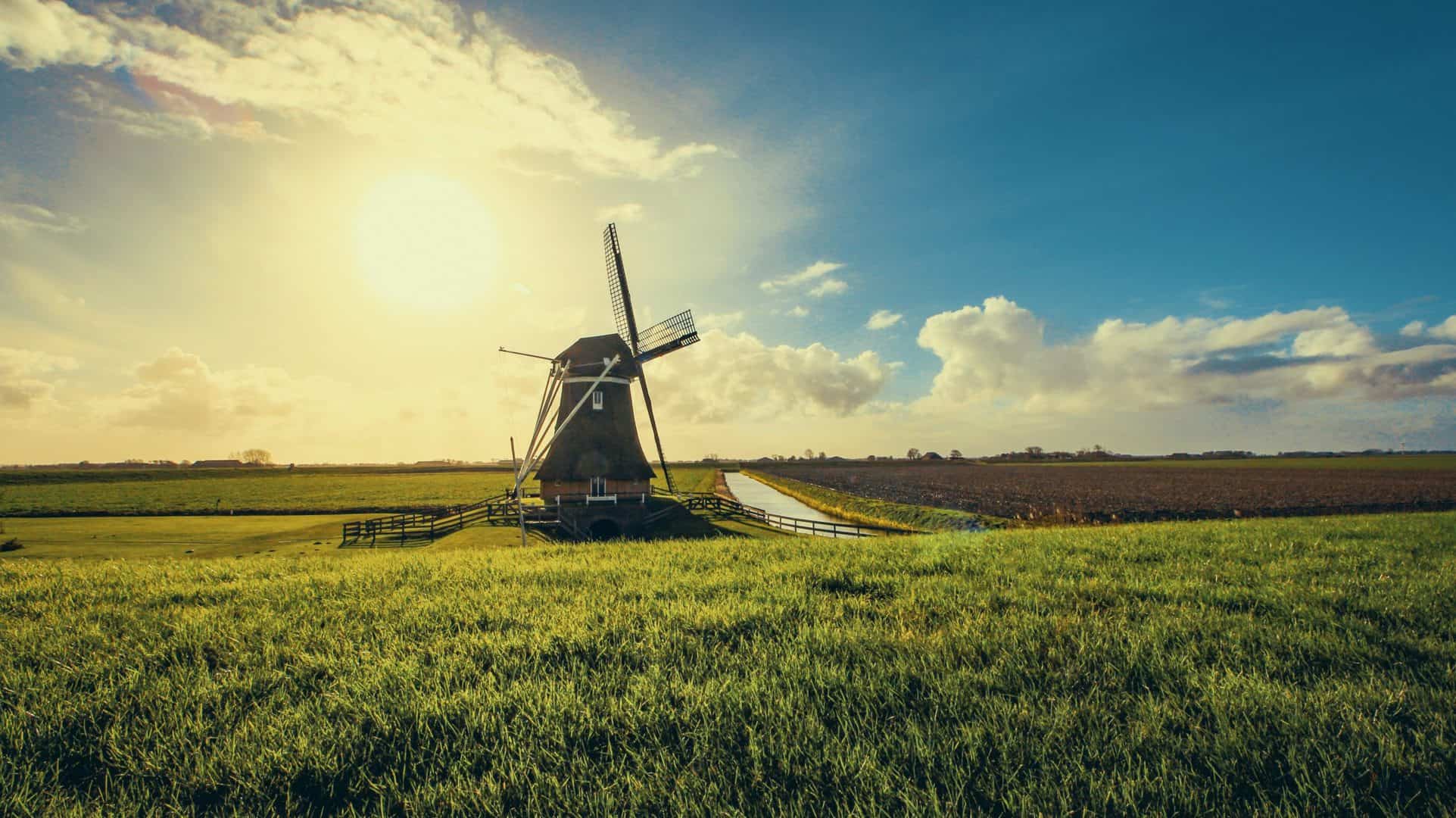 windmolen op uitgestrekt veld in nederland