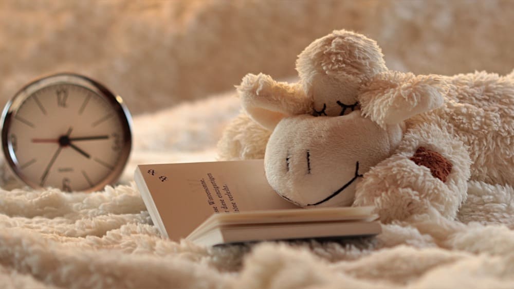 Een knuffelschaap dat op een open boek ligt