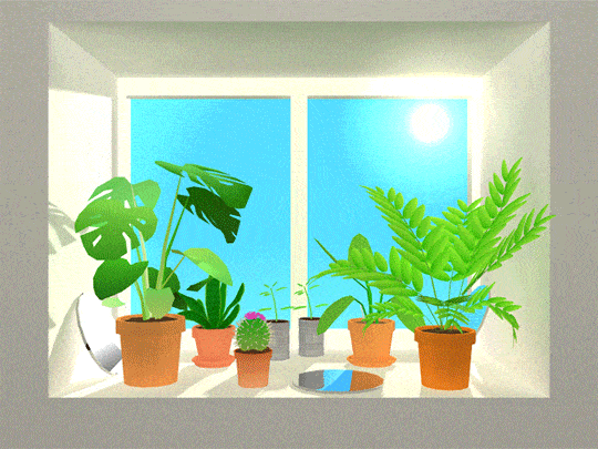 GIF van planten voor een raam die licht bewegen