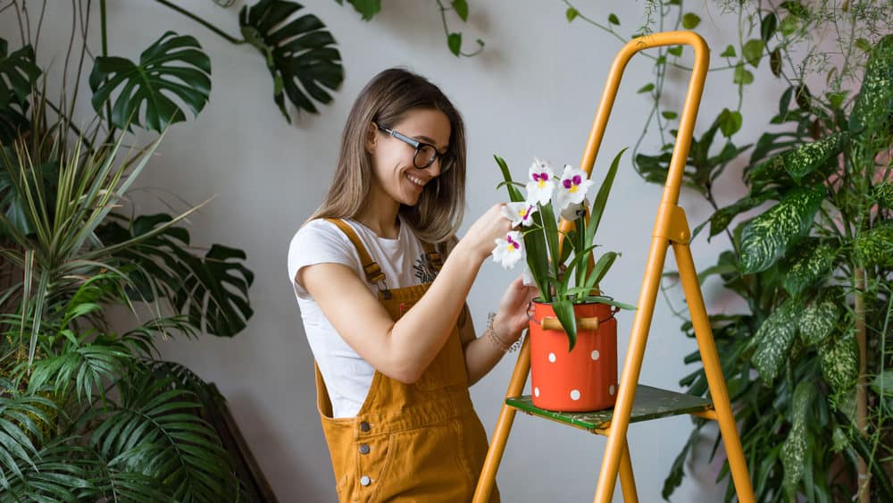 vrouw verzorgt luchtzuiverende planten