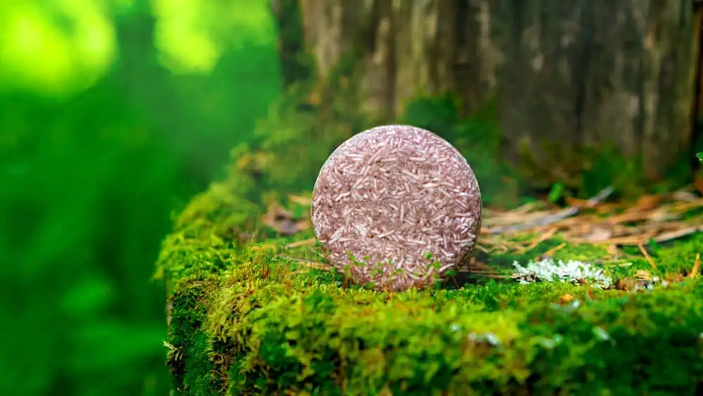 Roze shampoo bar in de natuur, op een bed van mos